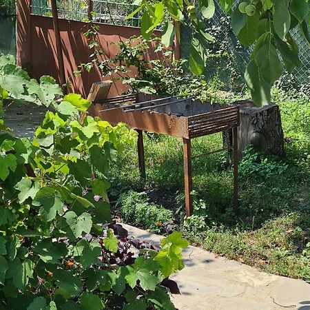 "Budur" Guest House Gandzakar Εξωτερικό φωτογραφία