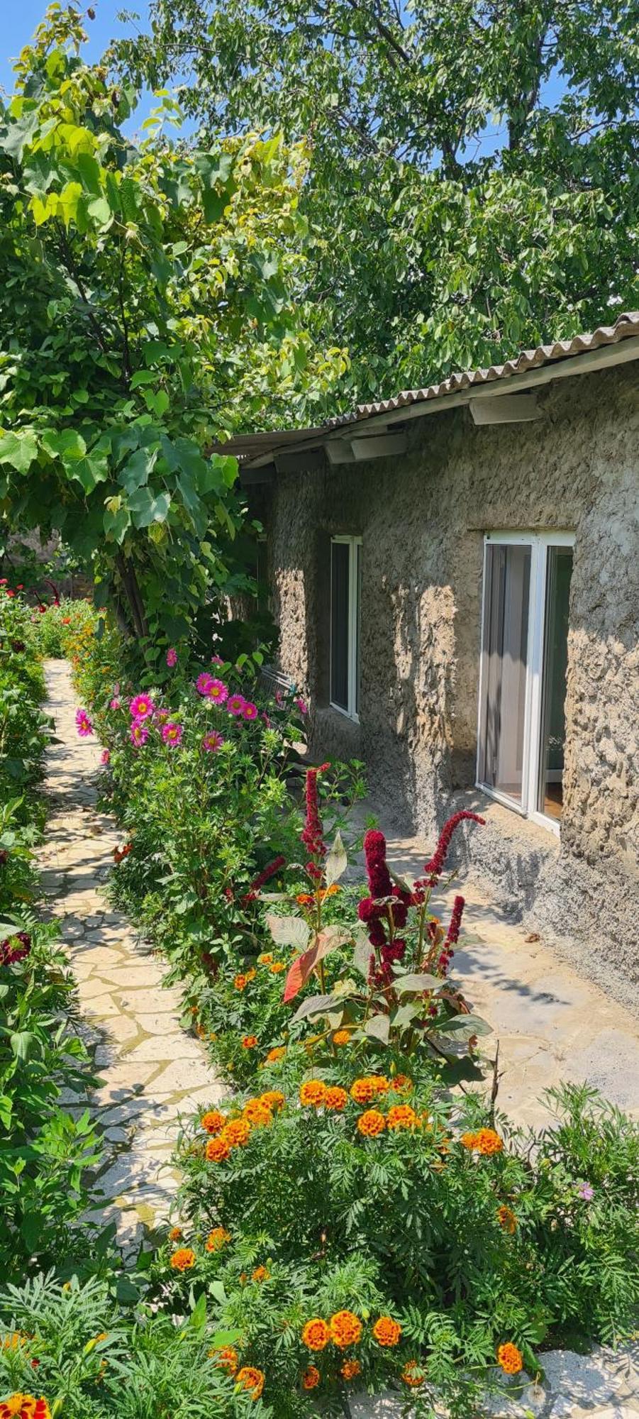 "Budur" Guest House Gandzakar Εξωτερικό φωτογραφία